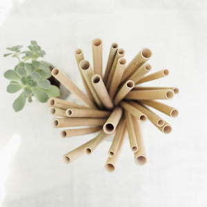 2 Pack Of Bamboo Straws + Cleaning Brush + Striped Pouch